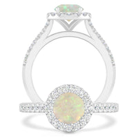 Best Round 6mm SJBR1624