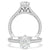 Premium Pear SJER3829PE B